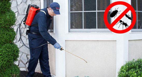 İslahiye Dezenfeksiyon böcek ilaçlama ve haşere kontrolü — ilaclama-tr.com